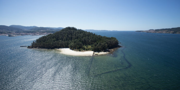 As rutas aos ‘bosques terapéuticos’ dobran as súas prazas ante a alta demanda
