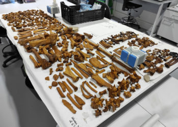 A primeira escavación arqueolóxica en Sálvora descobre “un importante xacemento romano”