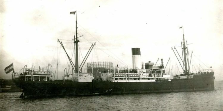 trasatlántico vigo dragamina