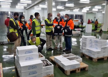 Millán Mon reitera el apoyo de la Eurocámara para que la FAO instale una sede en el Puerto de Vigo