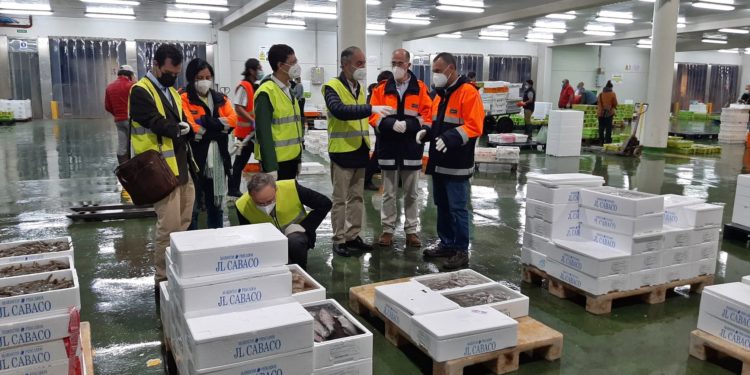 Millán Mon reitera el apoyo de la Eurocámara para que la FAO instale una sede en el Puerto de Vigo