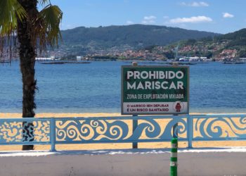 Marisco prohibido
