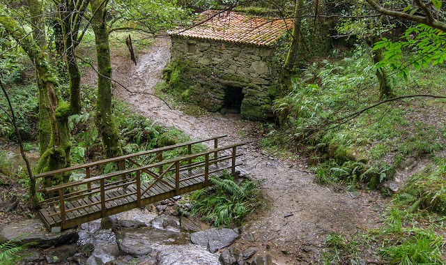 senda del río Eifonso