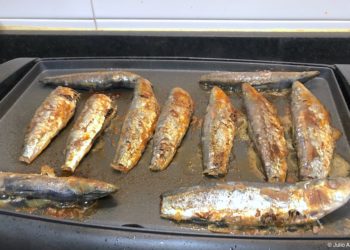 Temporada de sardinas