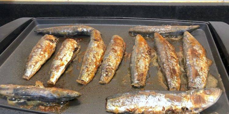 Temporada de sardinas
