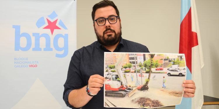 O BNG de Vigo denuncia unha nova talla “inxustificada” de árbores en Martínez Garrido
