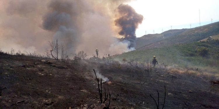 El fuego avanza sin freno en Arbo y amenaza casas tras arrasar 230 hectáreas