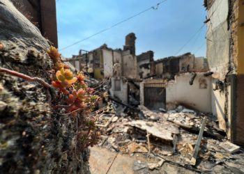 La devastadora ola de incendios ya ha quemado más de 24.000 hectáreas de monte en Galicia