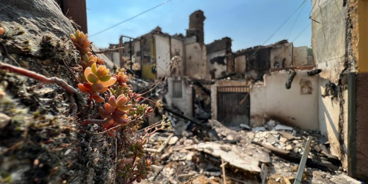 La devastadora ola de incendios ya ha quemado más de 24.000 hectáreas de monte en Galicia