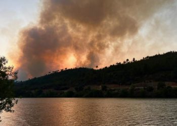 La devastadora ola de incendios ya ha quemado más de 24.000 hectáreas de monte en Galicia