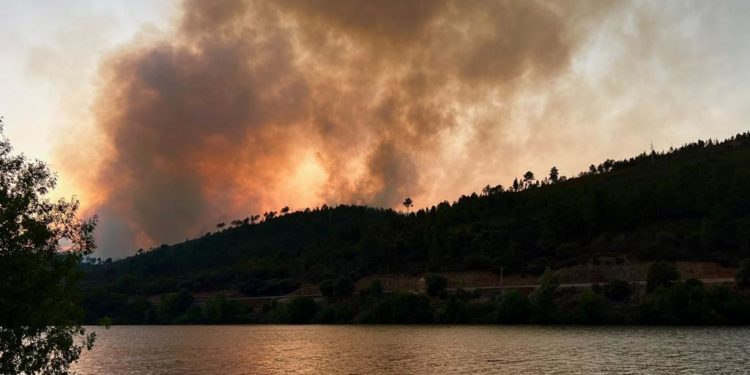 La devastadora ola de incendios ya ha quemado más de 24.000 hectáreas de monte en Galicia