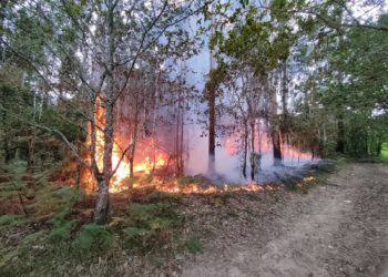 Sofocado un conato de incendio cerca de un instituto y un campo de fútbol en Gondomar