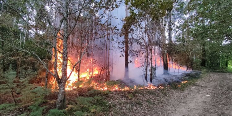 Sofocado un conato de incendio cerca de un instituto y un campo de fútbol en Gondomar