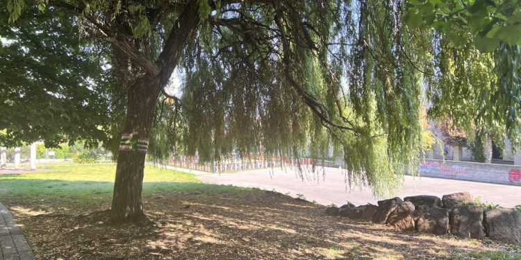 Convocan una ‘plantación protesta’ contra la “desaparición” de un espacio verde de Vigo