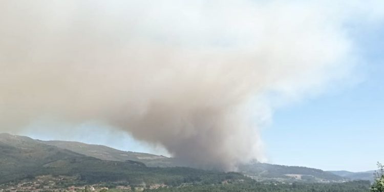 Arbo vuelve a arder en el lugar en el que los vecinos ya grabaron en vídeo cómo actuaban los pirómanos