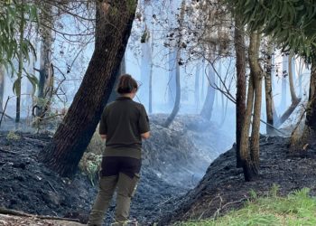 Sofocado un conato de incendio cerca de un instituto y un campo de fútbol en Gondomar
