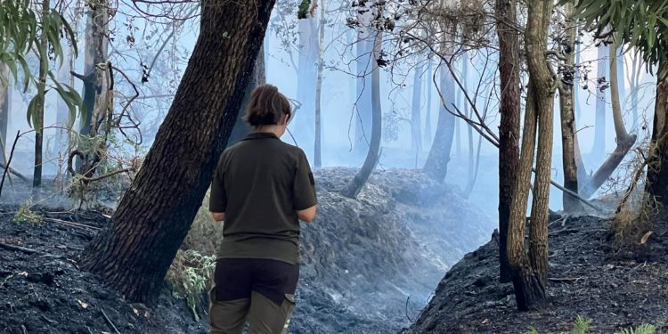 Sofocado un conato de incendio cerca de un instituto y un campo de fútbol en Gondomar