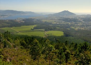 Rescatado un ciclista que cayó en una zona de difícil acceso en O Rosal