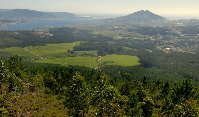 Rescatado un ciclista que cayó en una zona de difícil acceso en O Rosal
