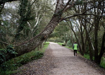 La ampliación del tramo más desconocido del paseo del Lagares comenzará este año