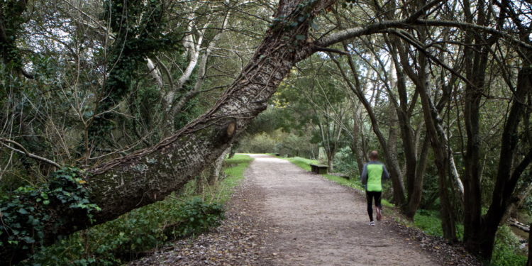 La ampliación del tramo más desconocido del paseo del Lagares comenzará este año