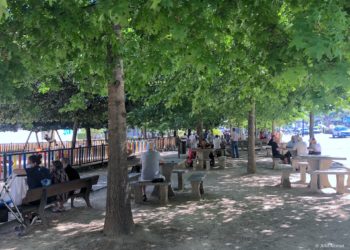 Diversión a la sombra