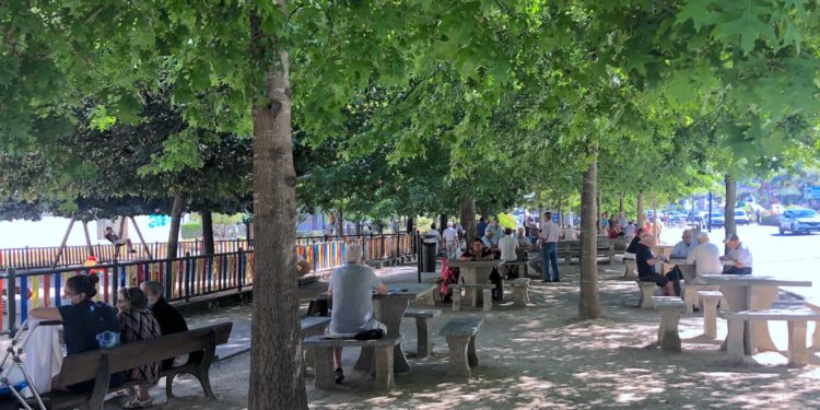 Diversión a la sombra