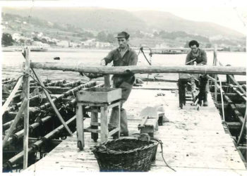 Na procura das pioneiras do sector bateeiro en Galicia