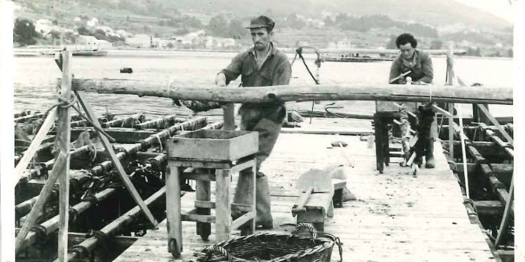 Na procura das pioneiras do sector bateeiro en Galicia