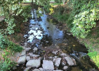 La amenaza de la sequía a su paso por Vigo