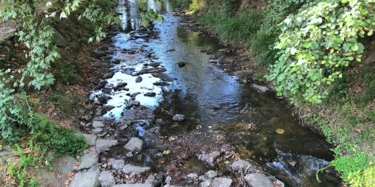 La amenaza de la sequía a su paso por Vigo