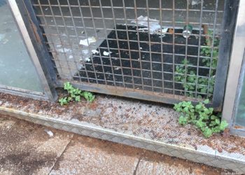 La aventura de abrir un negocio en Vigo