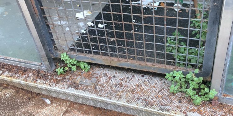 La aventura de abrir un negocio en Vigo