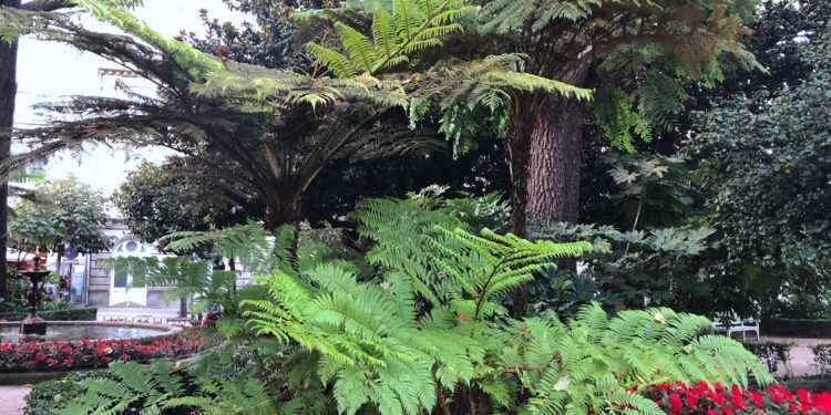 Naturaleza exuberante en la Alameda de Vigo