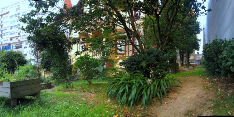 Una selva en la Casa da Xuventude
