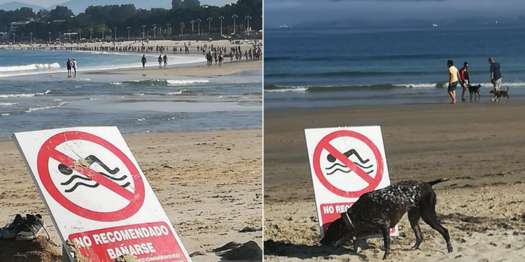 El Concello de Vigo recomienda no bañarse en la playa de A Calzoa