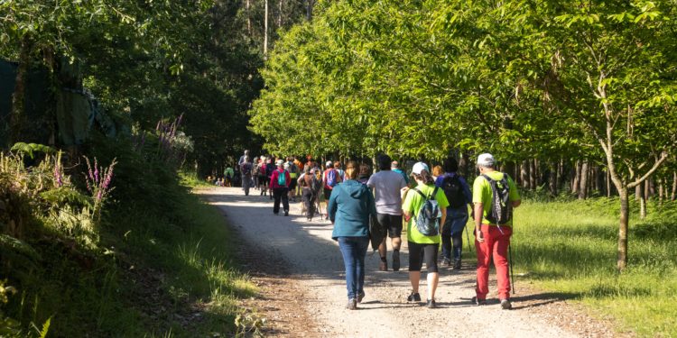 Camiño a Camiño organiza siete recorridos medioambientales para este otoño