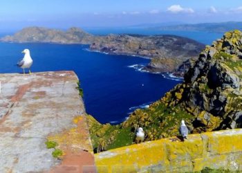 Xunta y USC se unen en un proyecto por la recuperación de los hábitats de Cíes, Ons y Sálvora