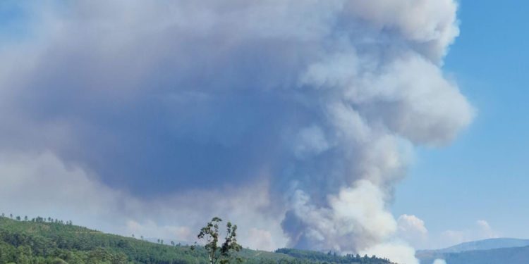 El fuego vuelve a Arbo: un incendio originado en Portugal ‘salta’ el río Miño y se acerca a un polígono