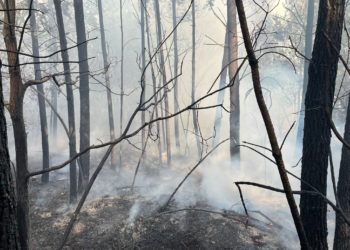Controlados y próximos a su extinción los incendios forestales de Moaña y Ponteareas