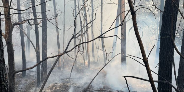 Controlados y próximos a su extinción los incendios forestales de Moaña y Ponteareas