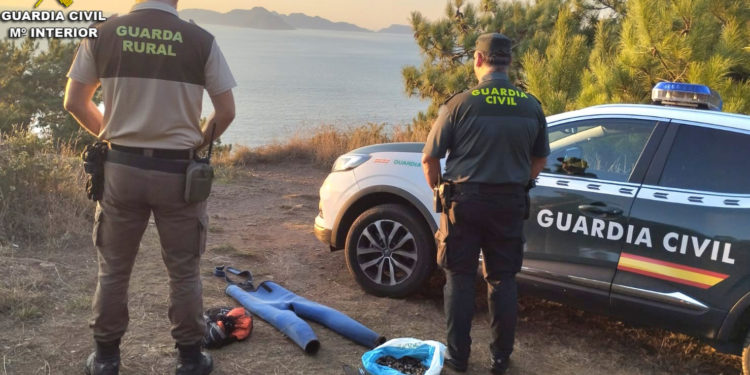 Localizado un furtivo cuando incumplía una condena que le prohibía marisquear