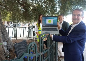 El Olivo del Paseo de Alfonso de Vigo: 200 años y en plena forma