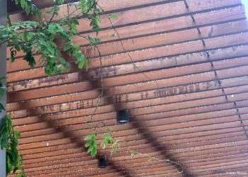 Gotas de lluvia en la Ronda