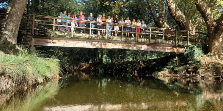 Os maiores do Rosal triunfan na Universidade de Vigo