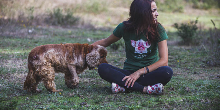 La batalla de Tali más allá de la isla: “Necesito ayuda”