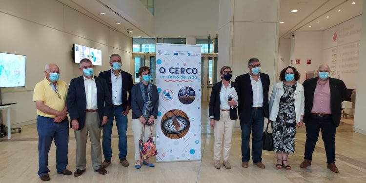 La flota del cerco gallega se alía con las placeras de Vigo