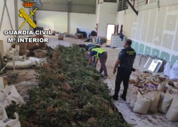Tres detenidos en Mos por cultivar marihuana en una nave industrial y una vivienda