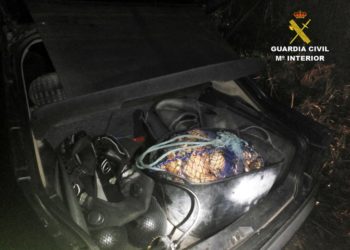 Rebajan a 3 meses y medio la prisión a los acusados de extraer vieira tóxica en Vigo, al no haberla vendido