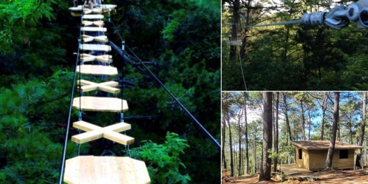 El gran ecoparque de aventuras de Vigo abrirá estas Navidades con tirolinas y puentes colgantes